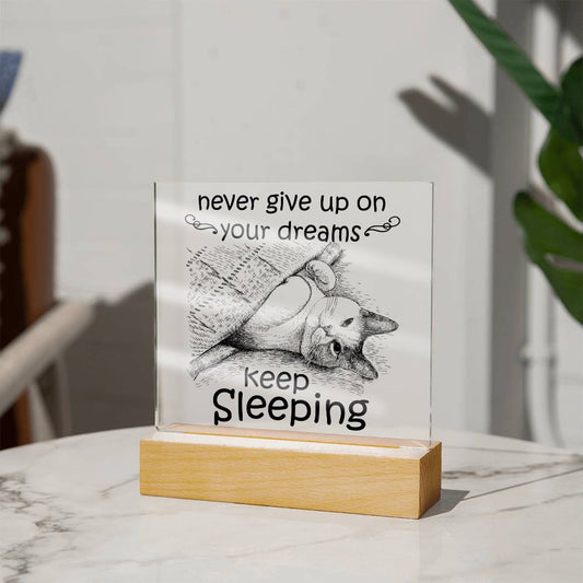 Never Give Up On Your Dreams - Acrylic Plaque