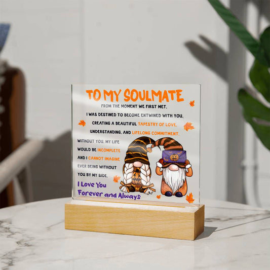 To My Soulmate - We First Met - Acrylic Plaque